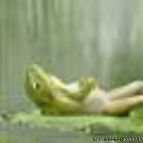 Frog Relaxing meme template