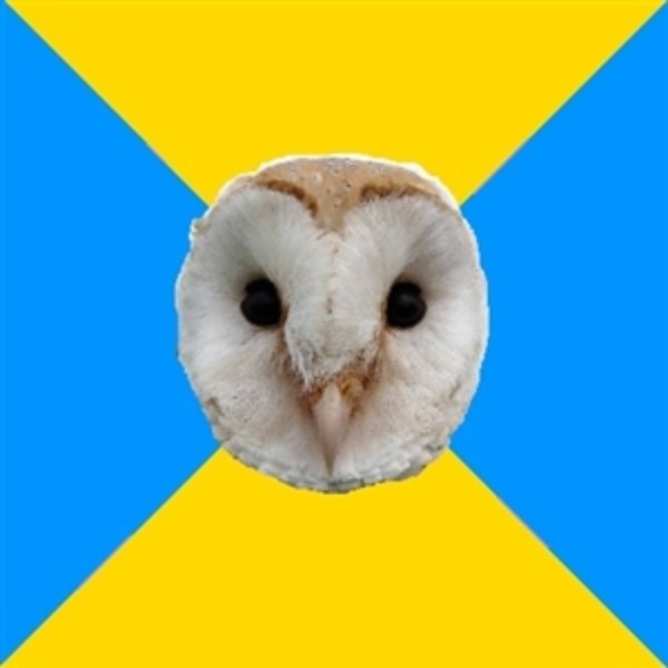 Bipolar Owl meme template