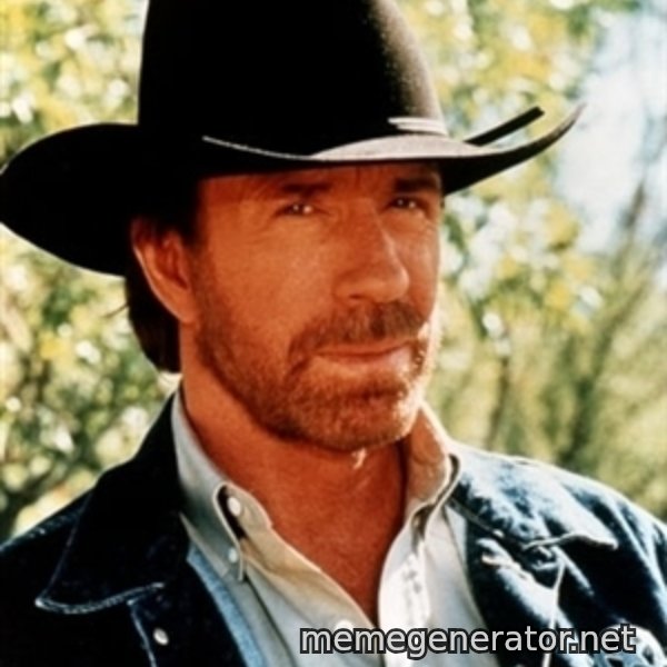 Brutal Chuck Norris meme template