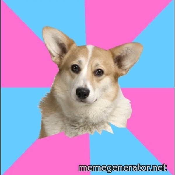 Critical Feminist Corgi meme template