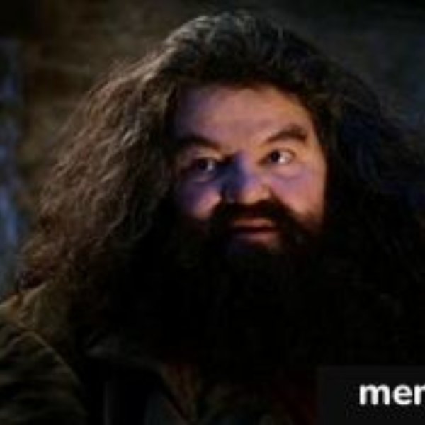Yer A Wizard Harry Hagrid meme template