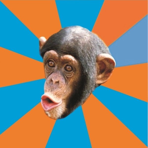 Stupid Monkey meme template