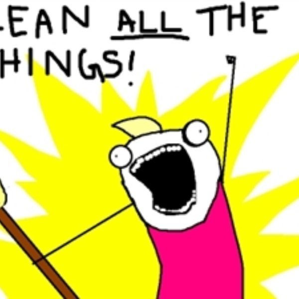 clean all the things meme template