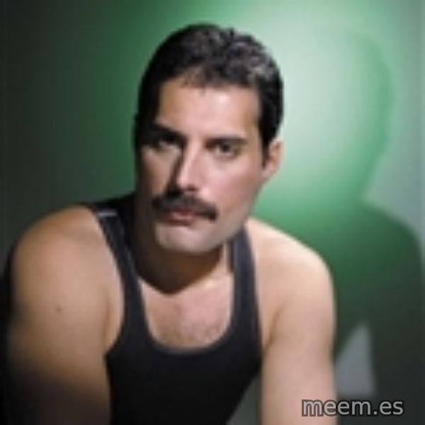 Freddie Mercury meme template
