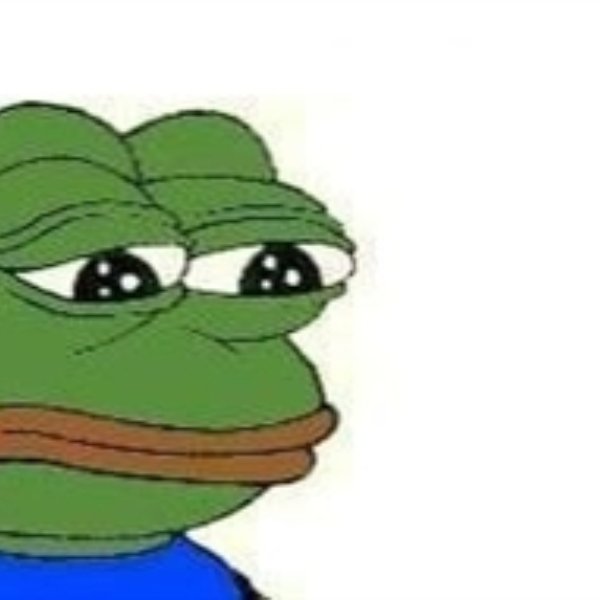 Sad Frog meme template