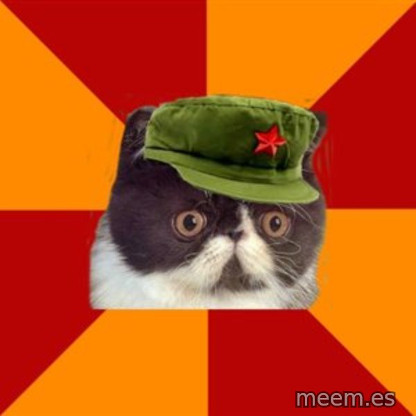 Communist Cat meme template