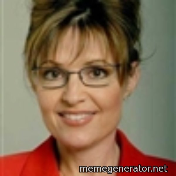 Sarah Palin meme template