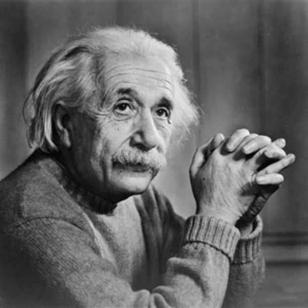 Albert Einstein meme template