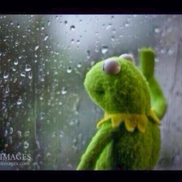Kermit window meme template