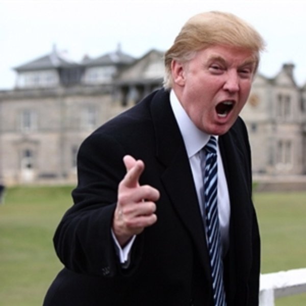 Donald Trumpeter meme template