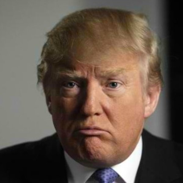 Donald Trump Serious Face meme template