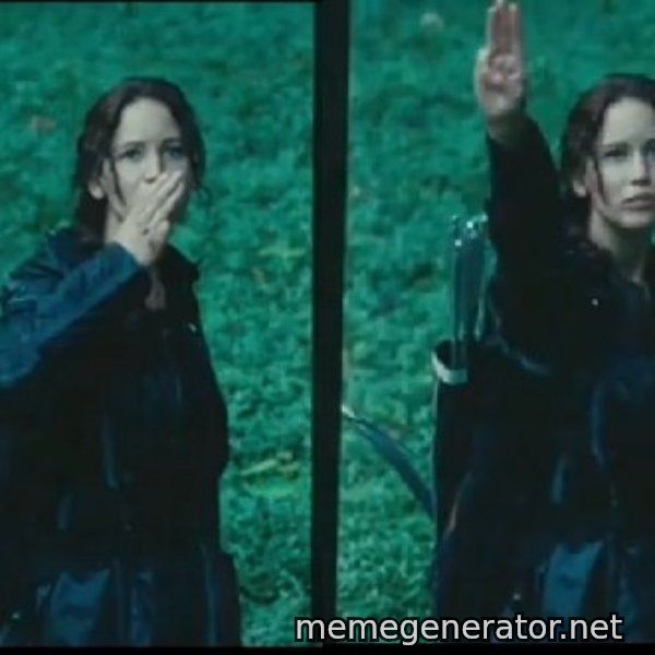 Hunger Games Katniss Salute meme template