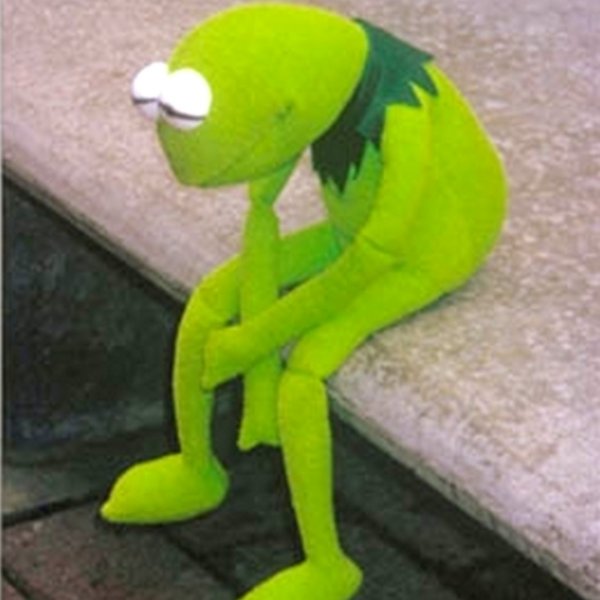 Sad Rana Renee  meme template