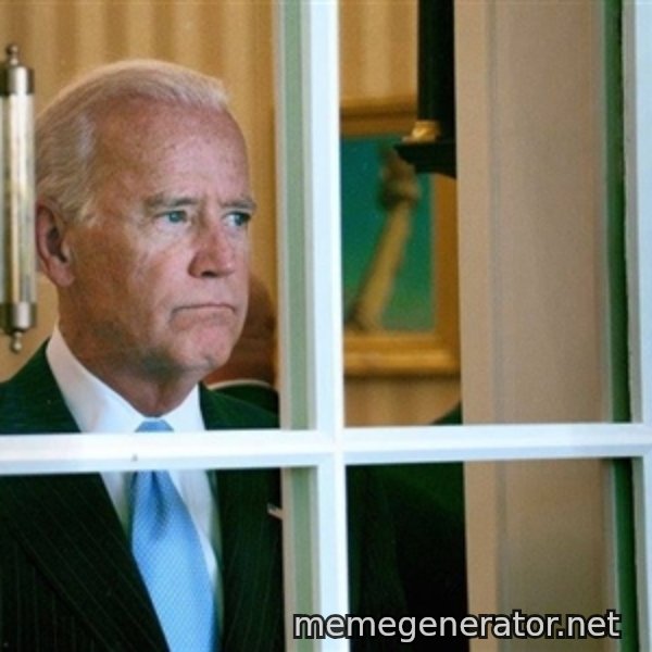 Sad Joe Biden meme template