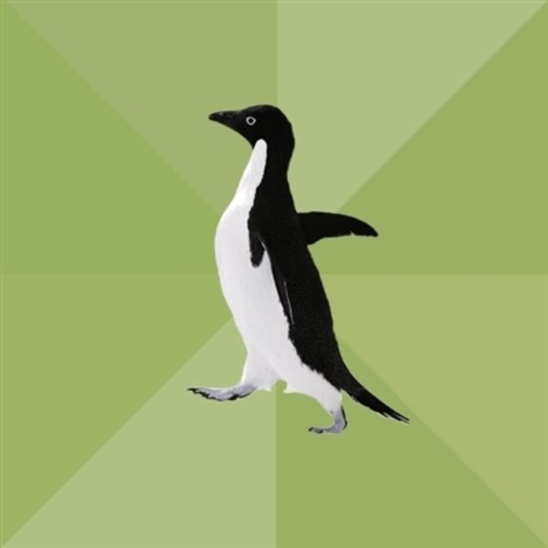 Socially Average Penguin meme template