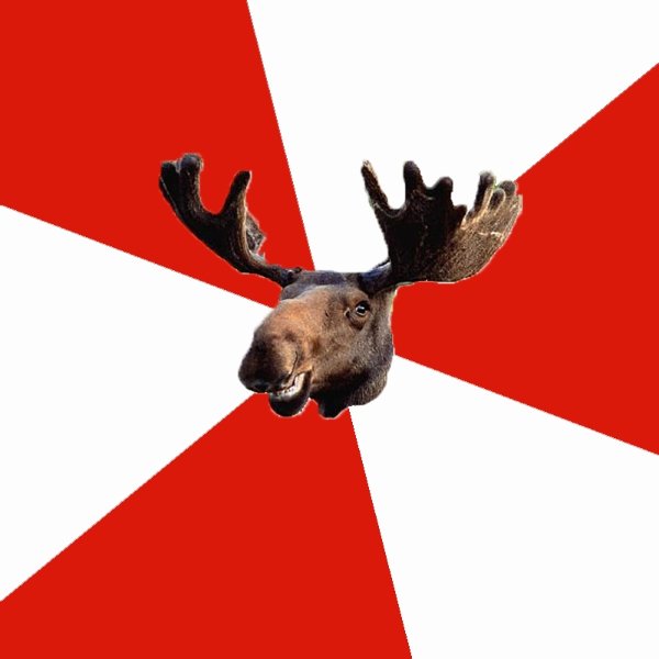 Stereotypical Canadian Moose meme template