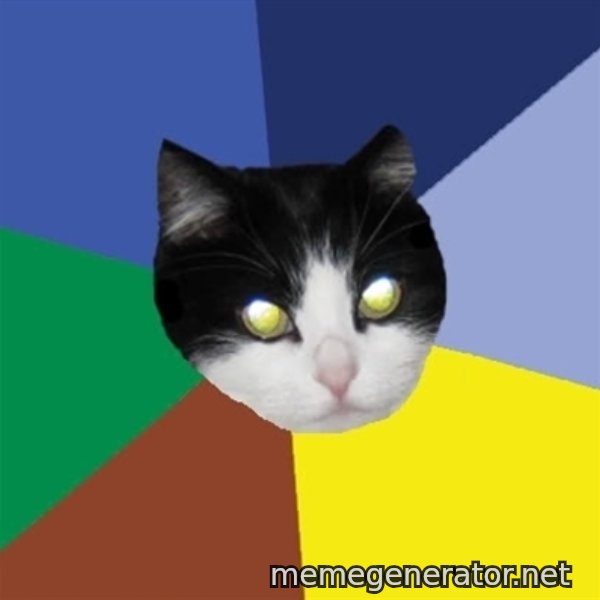 Winnipeg Cat meme template