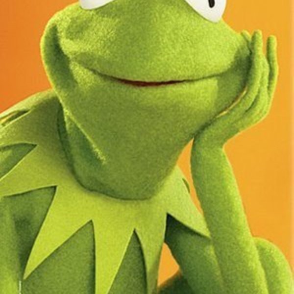 Kermit the frog meme template