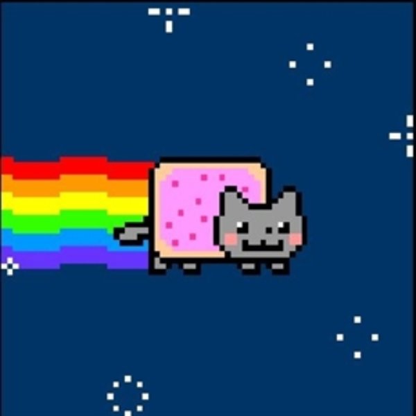 Irresponsible Nyan Cat meme template