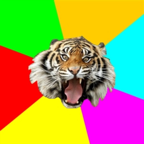 Time Of The Month Tiger meme template