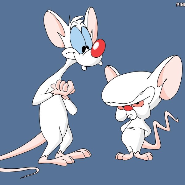 Pinky And The Brain meme template