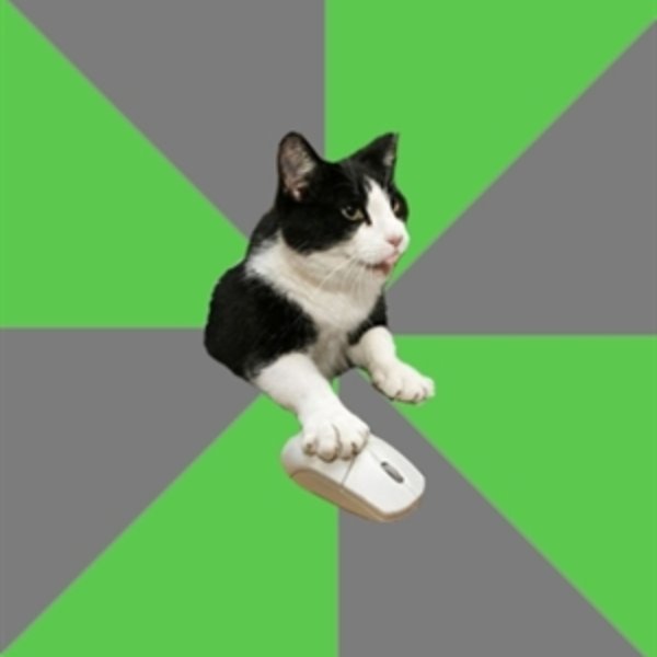 roleplayercat meme template