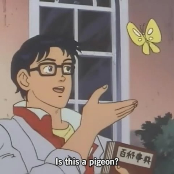 Is this a pigeon?  meme template