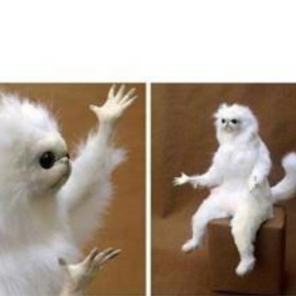 confused white monkey  meme template