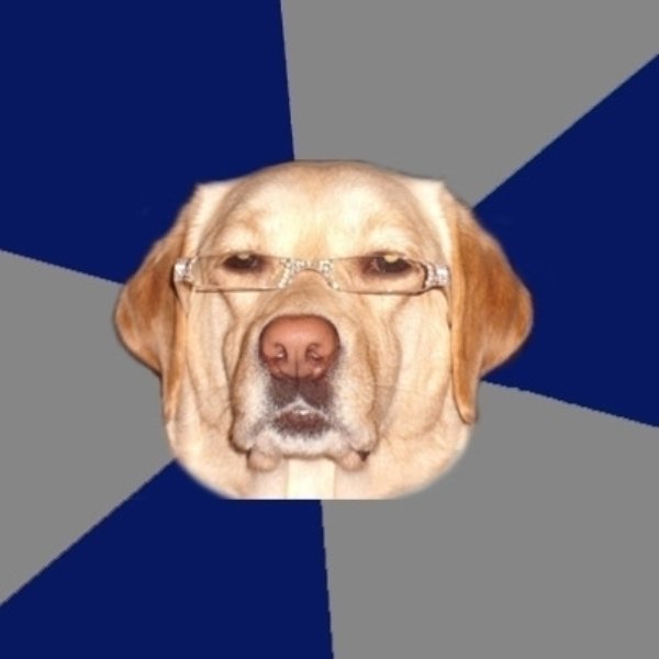 Racist Dawg meme template