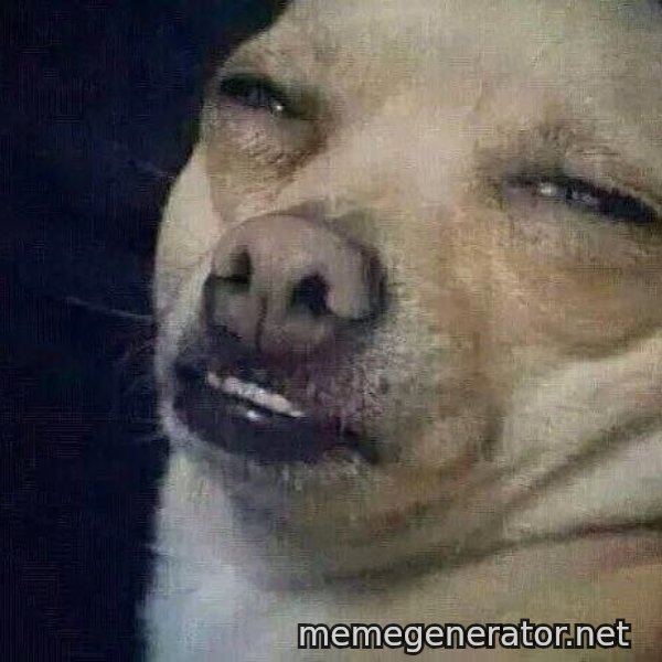 Perro el ql mentiroso meme template