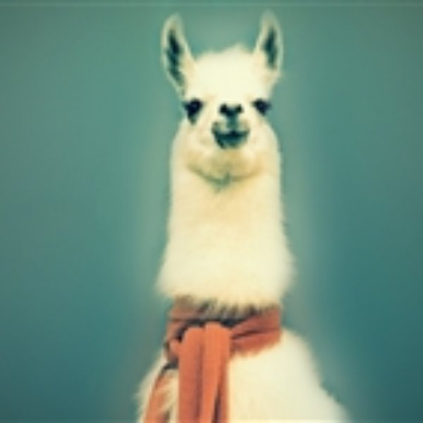 Pancakes llama meme template