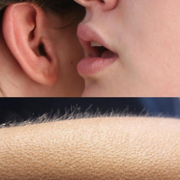 Whisper and goosebumps meme template