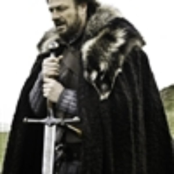 Stark_Winter_is_Coming meme template