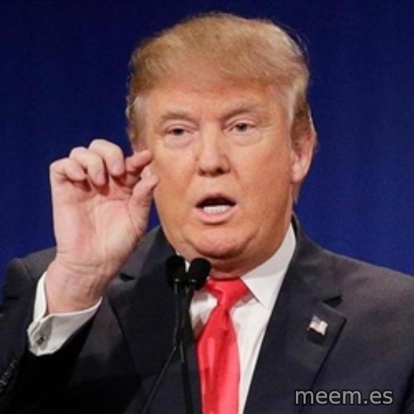 Donald Trump Size meme template