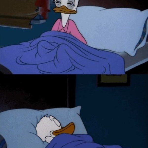 Donald Duck Sleeping meme template