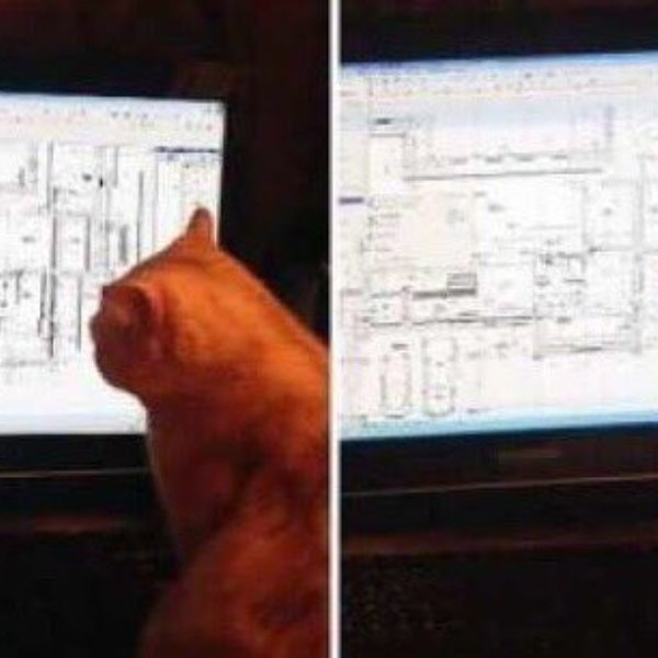 to jebnie meme template