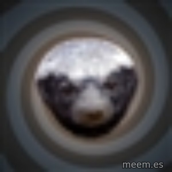 Fearless Honeybadger meme template