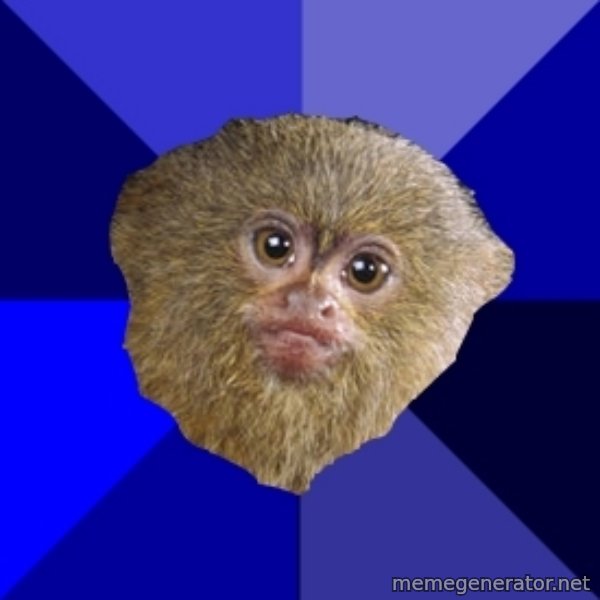 Mra Marmoset meme template