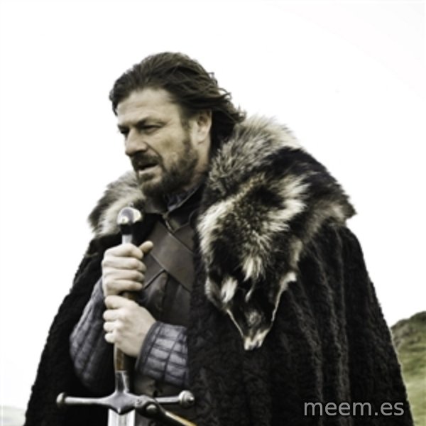 Ned Stark meme template