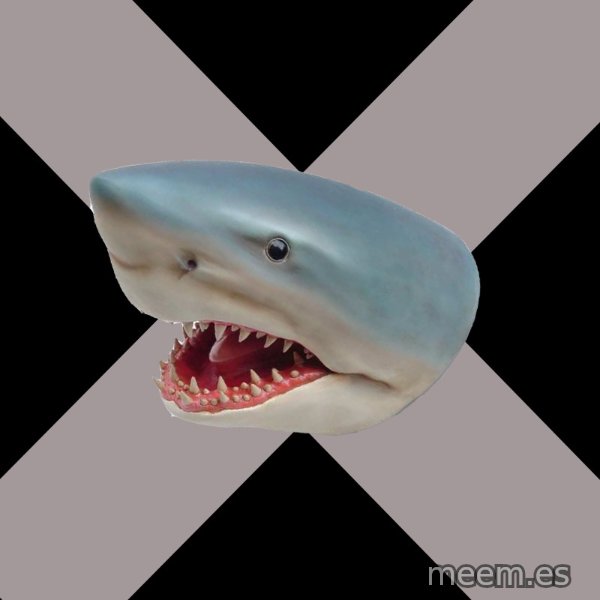 Straight Edge Shark meme template