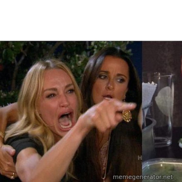 Woman Yelling At Cat meme template