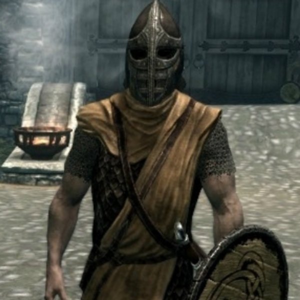 skyrim whiterun guard meme template