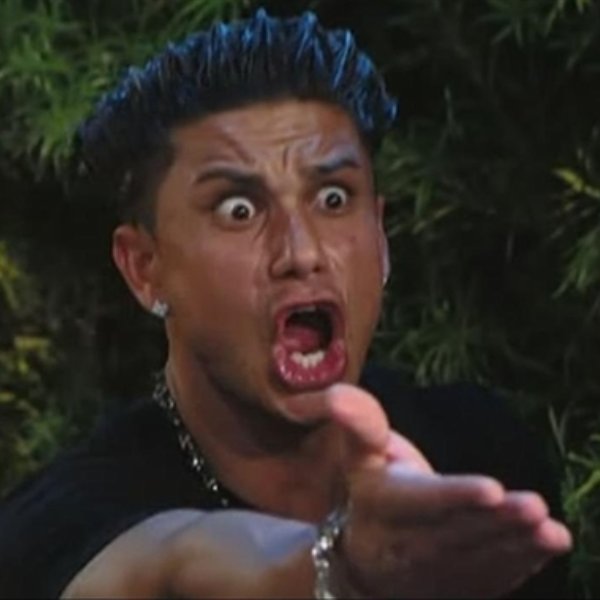 Pauly D meme template