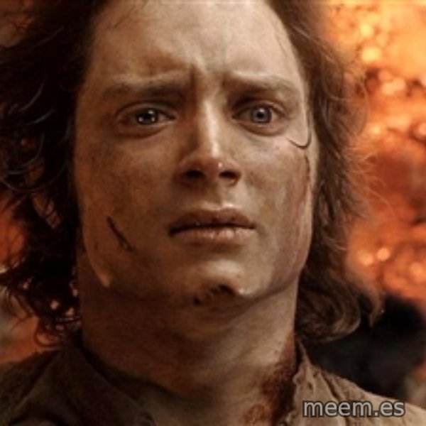 Frodo  meme template