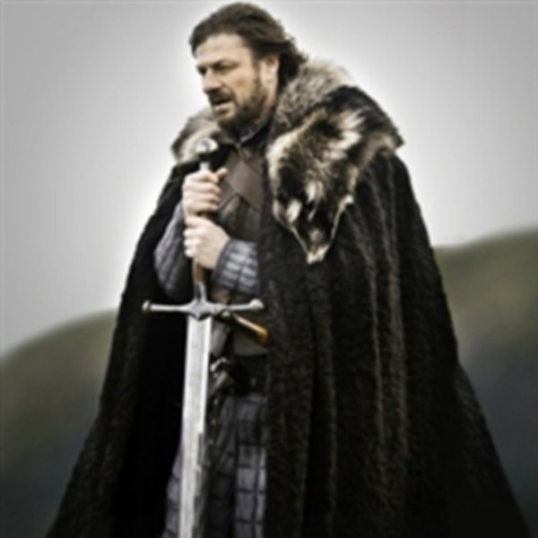 Brace yourselves. meme template