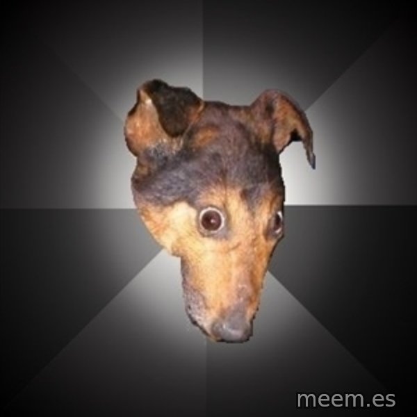 Depression Dog meme template