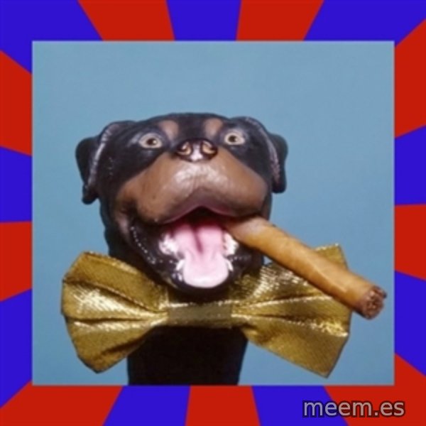 Triumph the Insult Comic Dog meme template