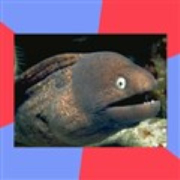 Bad Joke Eels meme template
