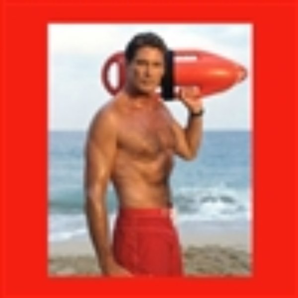 david hasselhoff meme template