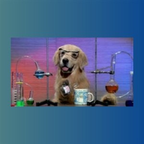 Chemistry Dog meme template